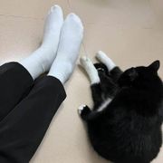 하이버