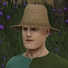MattHoodedHorse