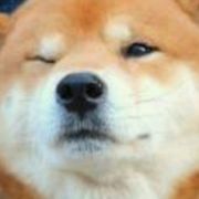 傲慢的拉斯