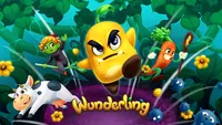 분더링 (Wunderling)