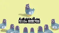 도시의 비둘기들
