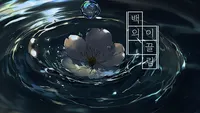 백의 이끌림
