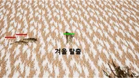 겨울 탈출