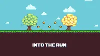 INTO THE RUN