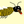 Maccabee