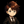 [Ricardo]ハチ