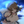 Anyu0