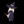 WitchDice
