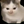 jiwawa