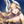 LOSTARK본