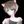 FlyingCat0817