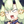 Gachapin