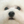 강빠따9