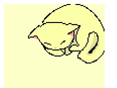 Yellow cat