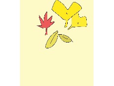 낙엽