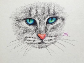 색연필 손그림일러스트 _ 회색 고양이