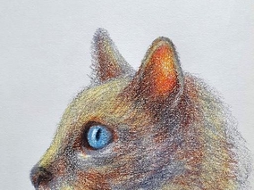 지구화학 샤프식 색연필로 그리는 고양이 옆모습 일러스트 그림