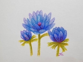 푸른꽃. 색연필 손그림 일러스트 . 파란색