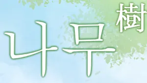 나무