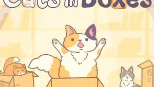 상자 속의 고양이들 (Cats in Boxes)