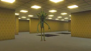 99룸