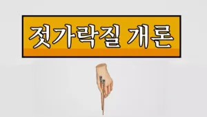 젓가락질 개론