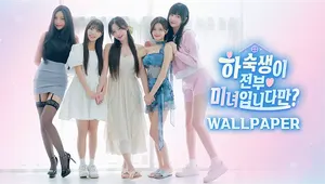 하숙생이 전부 미녀입니다만? 월페이퍼