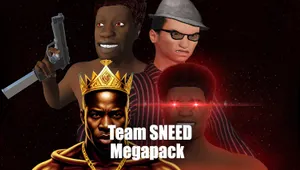 Team SNEED 메가팩