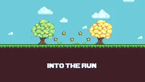 INTO THE RUN