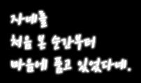 하랑의 반쪽은 누구??