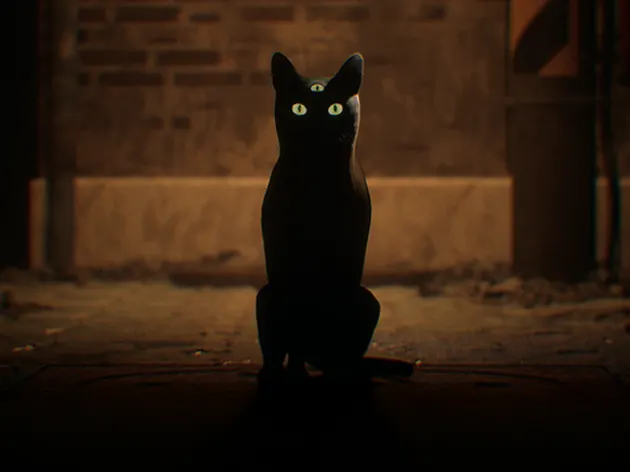 3 columns - C banner