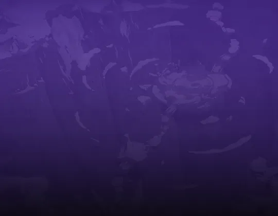 content banner